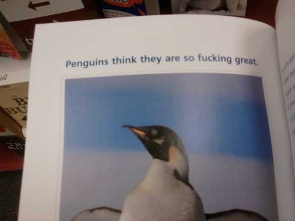 Penguins think they are so fucking great